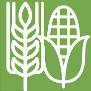 icon about us 1